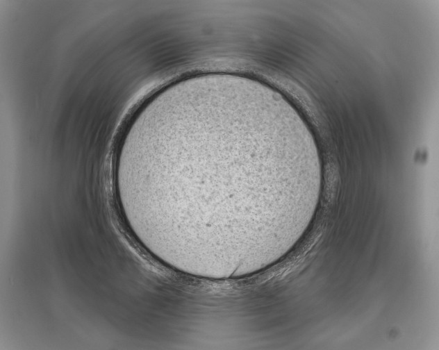 X0000097290982200803141507