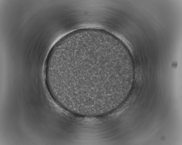 X0000097290983200803141507