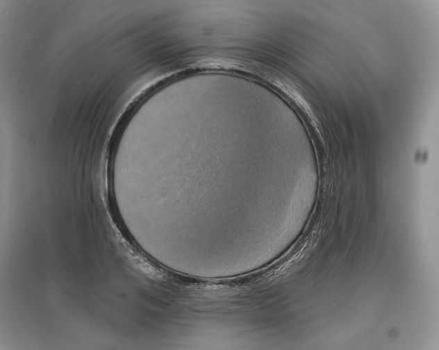 X0000097290984200803141507