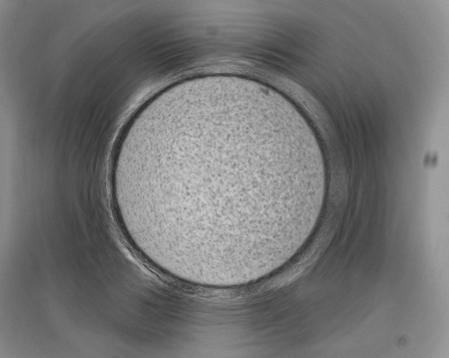 X0000097290986200803141506