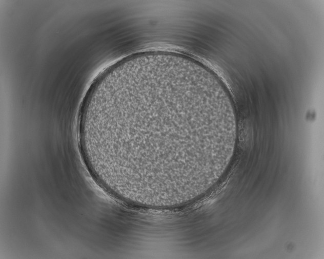 X0000097290987200803141506