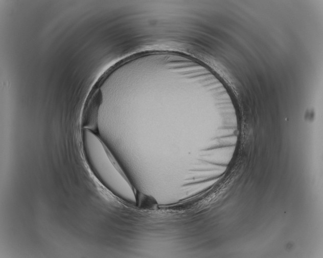 X0000097290988200803141506