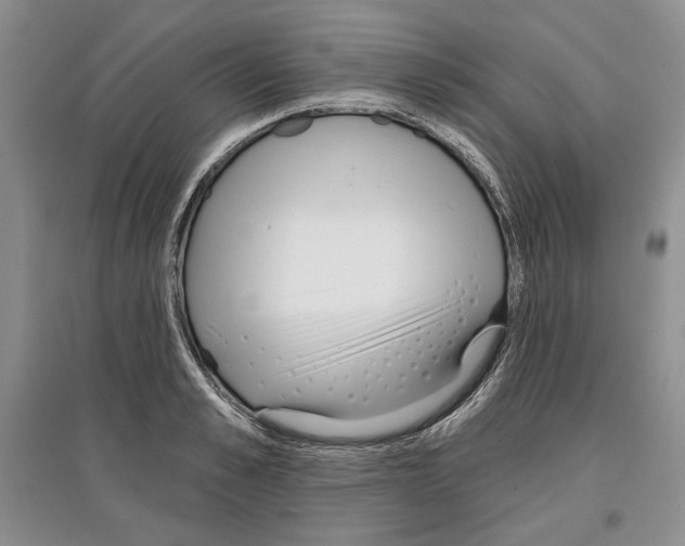 X0000097290989200803141506