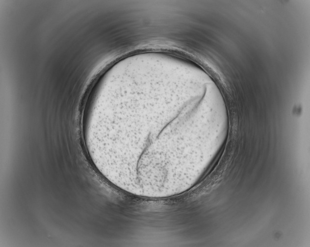 X0000097290990200803141506