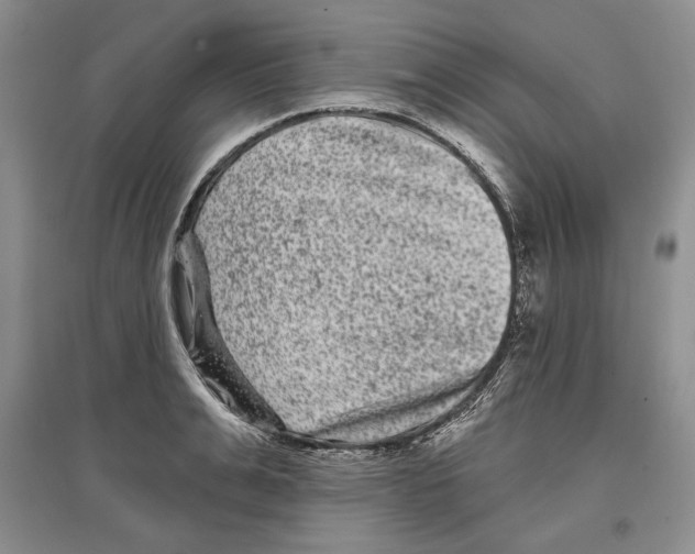 X0000097290991200803141506