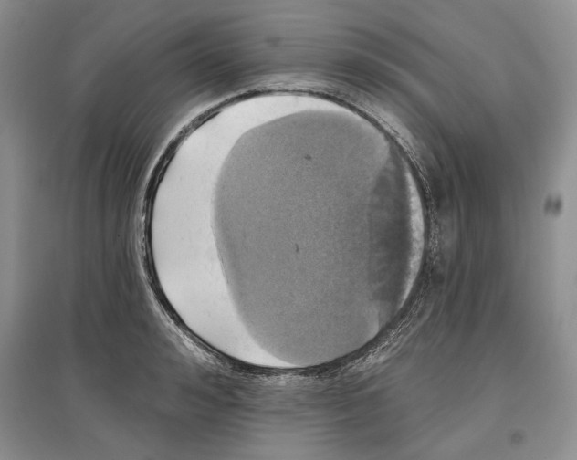 X0000097290992200803141506