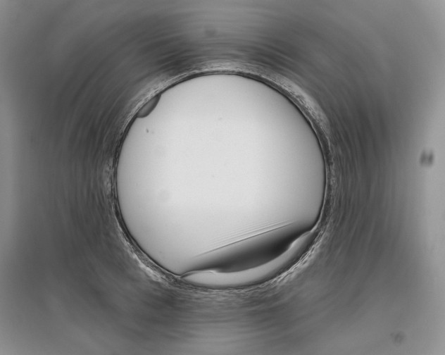 X0000097290993200803141506