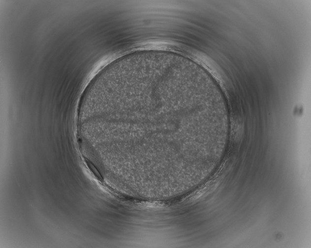 X0000097290994200803141506