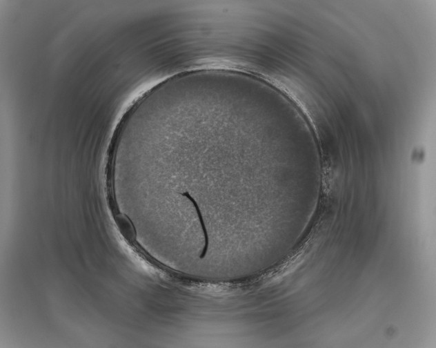 X0000097290995200803141506