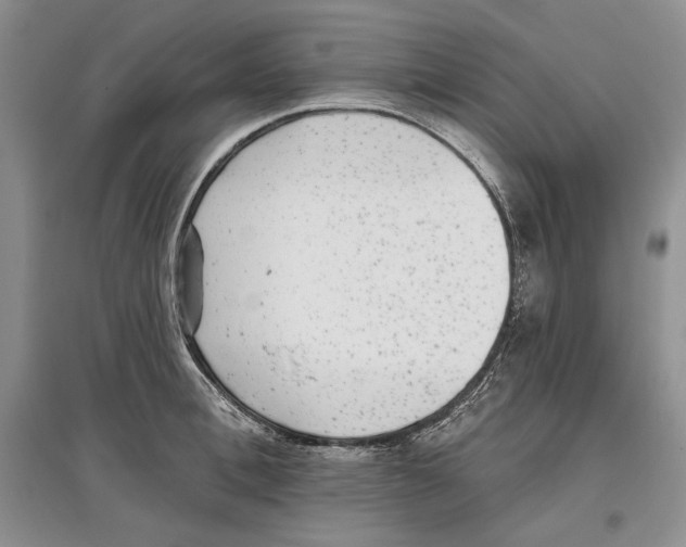 X0000097290996200803141506