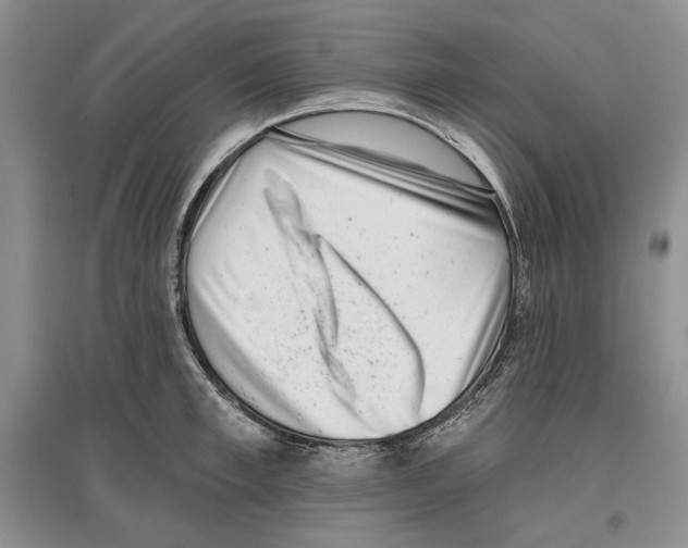 X0000097290997200803141506