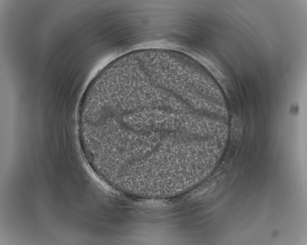 X0000097290998200803141506