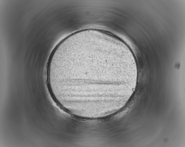 X0000097290999200803141506