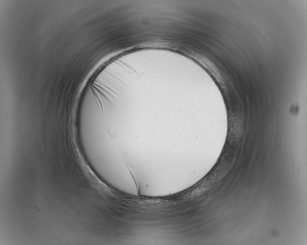 X0000097291000200803141506