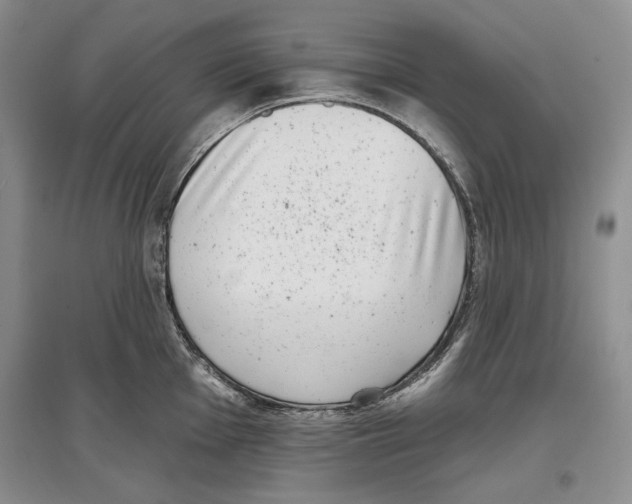 X0000097291001200803141506