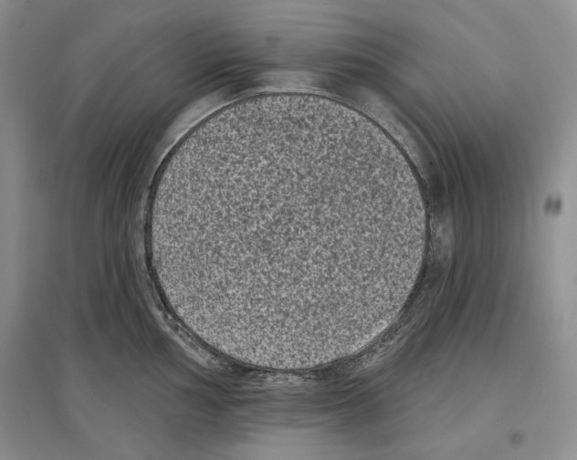 X0000097291002200803141506