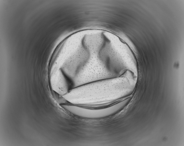 X0000097291004200803141506