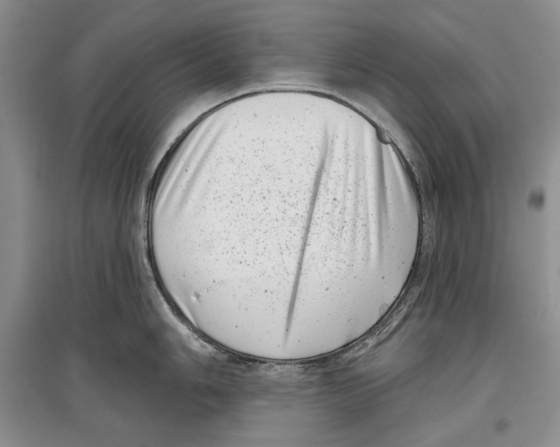 X0000097291006200803141506