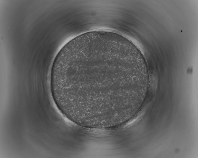 X0000097291007200803141506