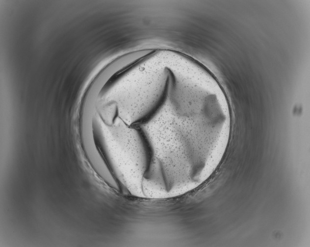 X0000097291008200803141506