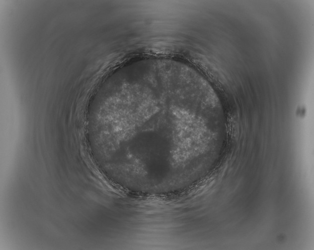 X0000097291009200803141505