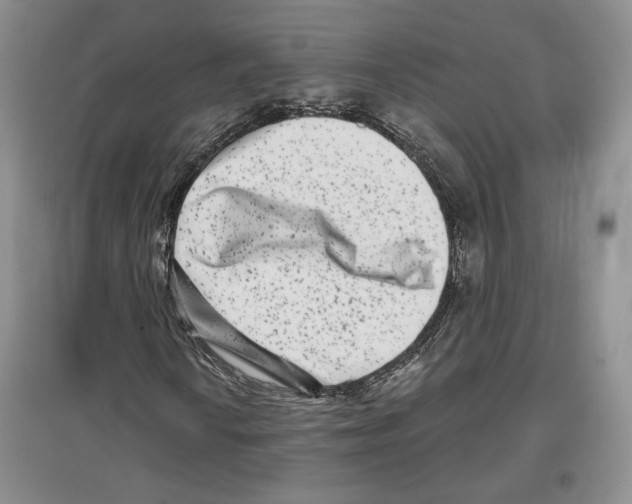 X0000097291010200803141505