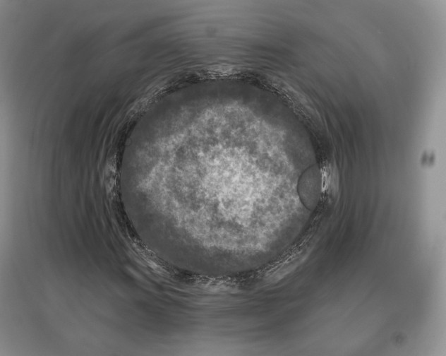 X0000097291011200803141506