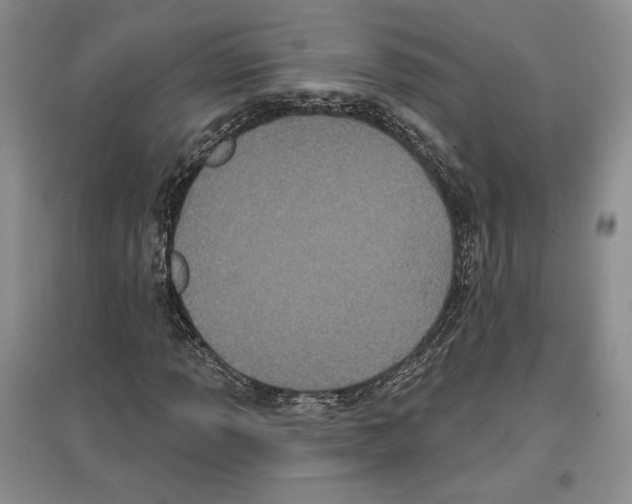 X0000097291013200803141506