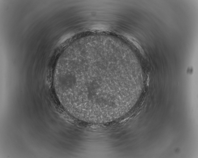 X0000097291015200803141506