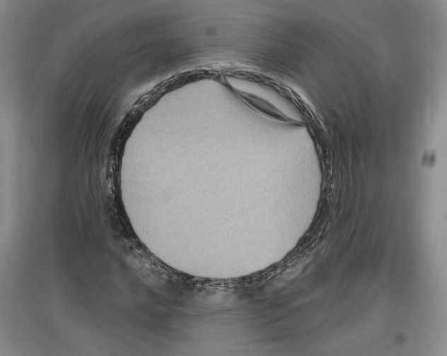 X0000097291016200803141506