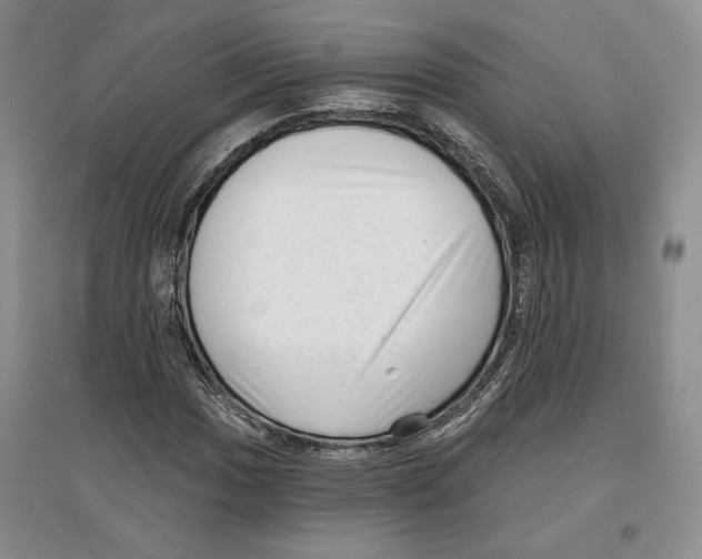 X0000097291017200803141506