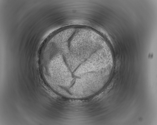 X0000097291019200803141506