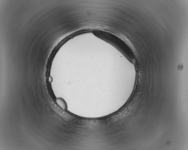 X0000097291020200803141506