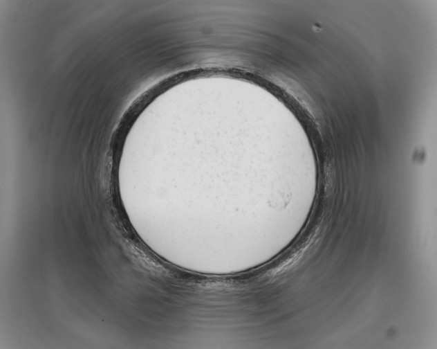 X0000097291021200803141506