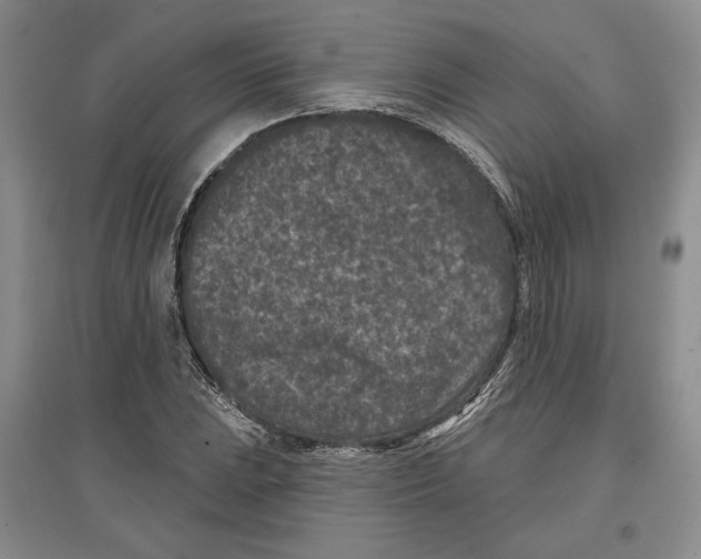 X0000097291023200803141506