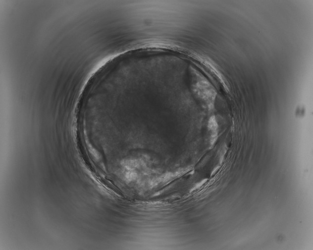 X0000097291024200803141506