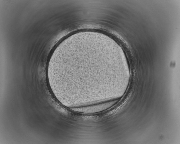 X0000097291025200803141506