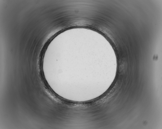 X0000097291026200803141506