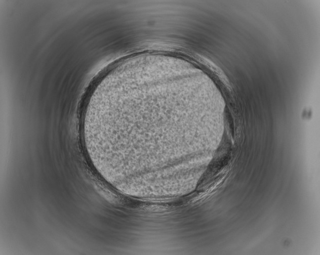 X0000097291027200803141506