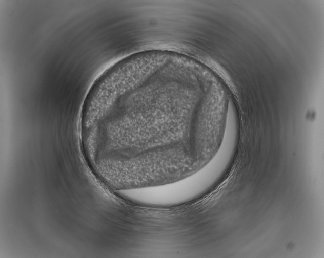 X0000097291028200803141506