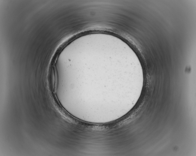 X0000097291029200803141506