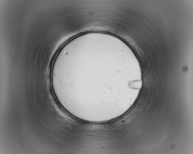 X0000097291030200803141506