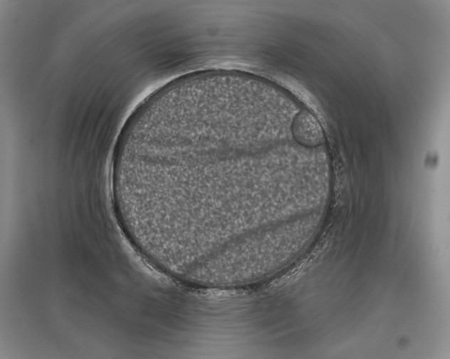 X0000097291032200803141506