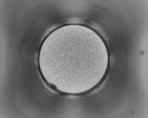 X0000097291033200803141506