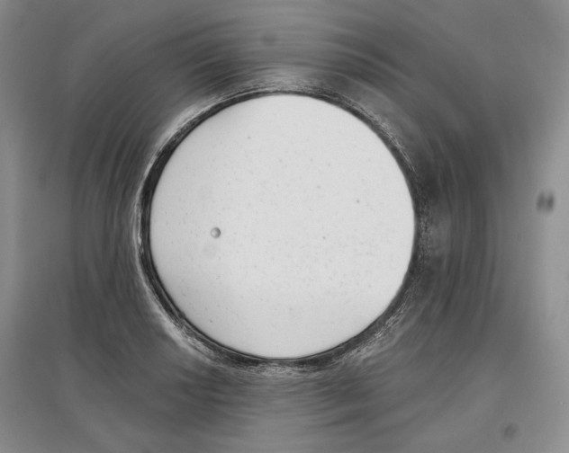 X0000097291034200803141506