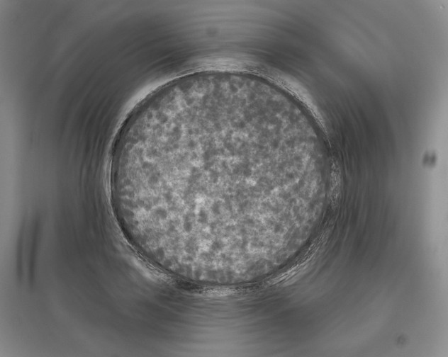 X0000097291035200803141506