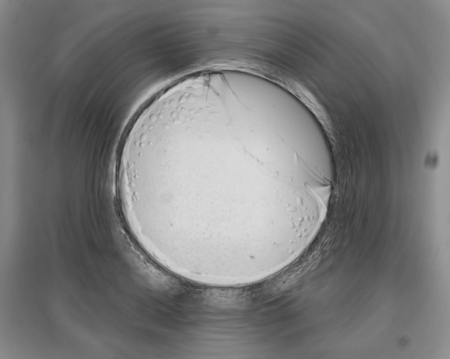 X0000097291036200803141506