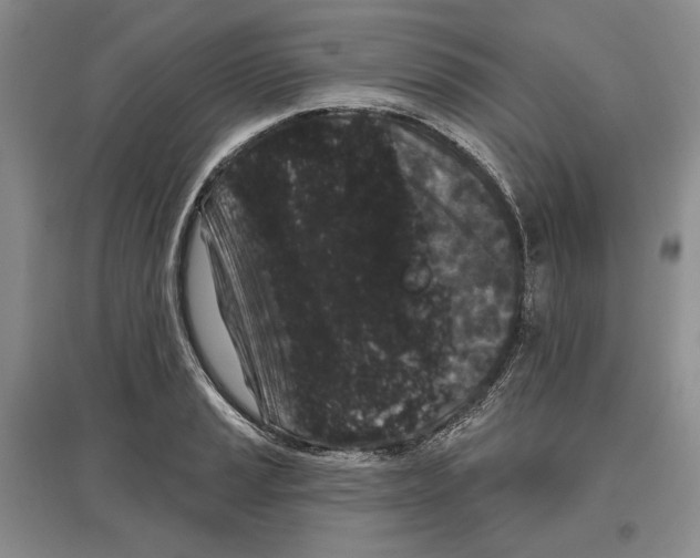 X0000097291037200803141506