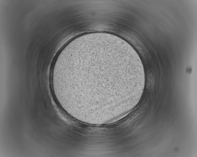 X0000097291039200803141506