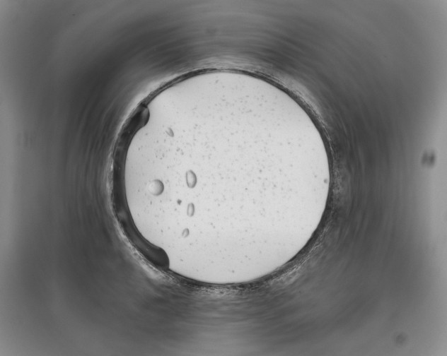 X0000097291040200803141506